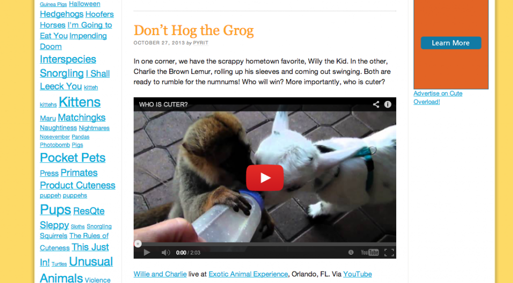 cuteoverload.com is constantly blogging videos of animals or just one picture with a paragraph. Easy and adorable.